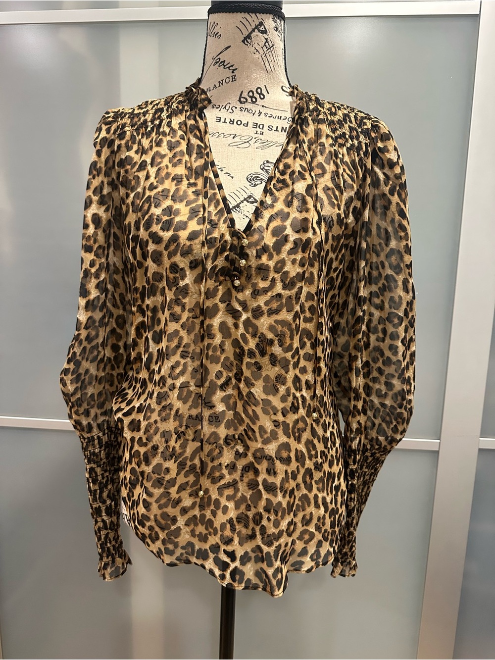 Leopard Print V-Neck Blouse in Brown